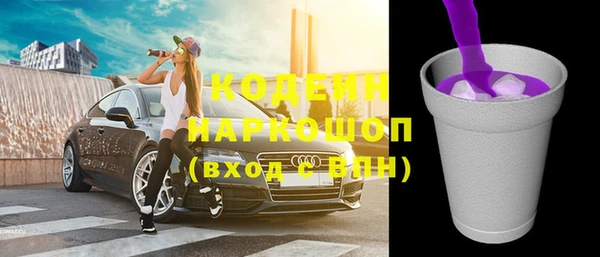 ГАЛЛЮЦИНОГЕННЫЕ ГРИБЫ Богданович