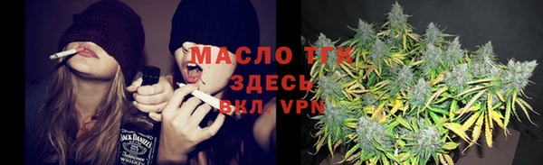 ГАЛЛЮЦИНОГЕННЫЕ ГРИБЫ Богданович