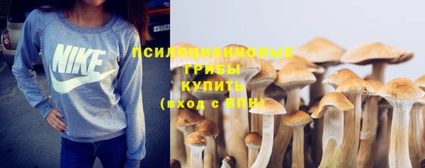 МДМА Богородицк