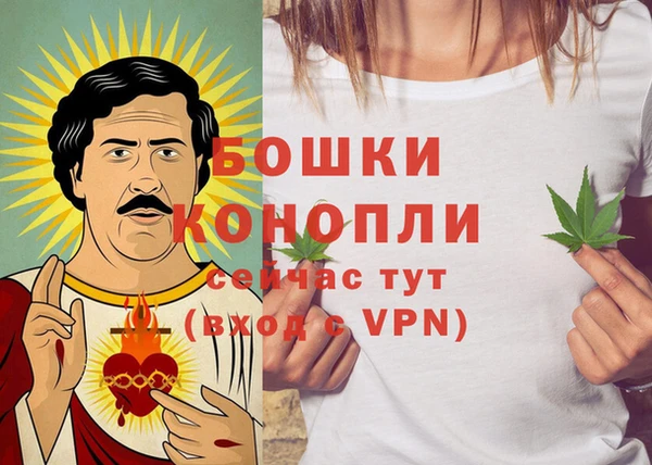 ГАЛЛЮЦИНОГЕННЫЕ ГРИБЫ Богданович
