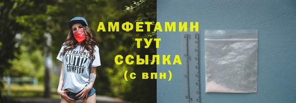 ГАЛЛЮЦИНОГЕННЫЕ ГРИБЫ Богданович