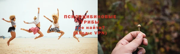 прущий лед Богородск