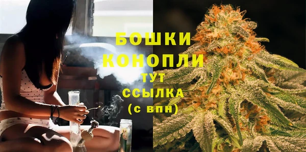 ГАЛЛЮЦИНОГЕННЫЕ ГРИБЫ Богданович