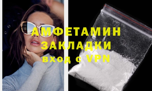 ГАЛЛЮЦИНОГЕННЫЕ ГРИБЫ Богданович