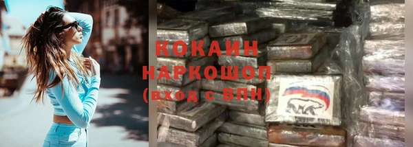 ГАЛЛЮЦИНОГЕННЫЕ ГРИБЫ Богданович